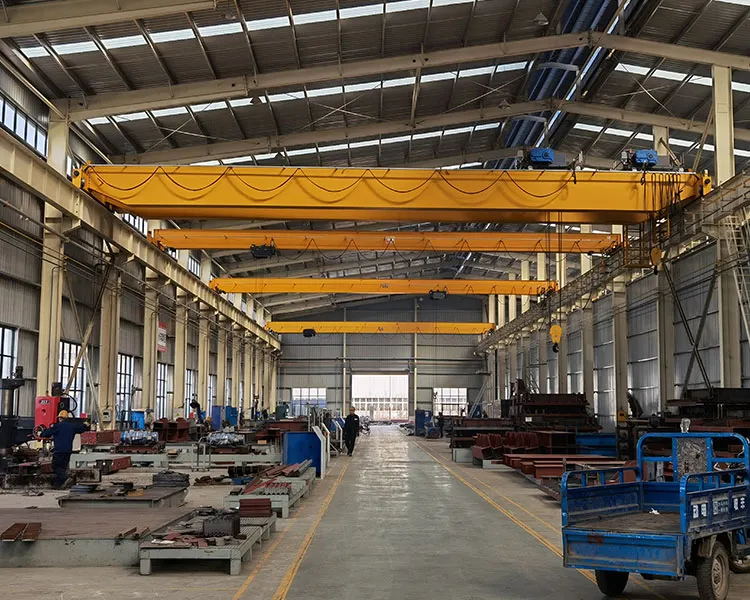AIDO overhead crane